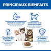 Hill's Science Plan Kitten – Sachet chaton au poisson 85 g