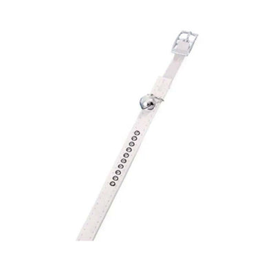 Chat Collier Blanc