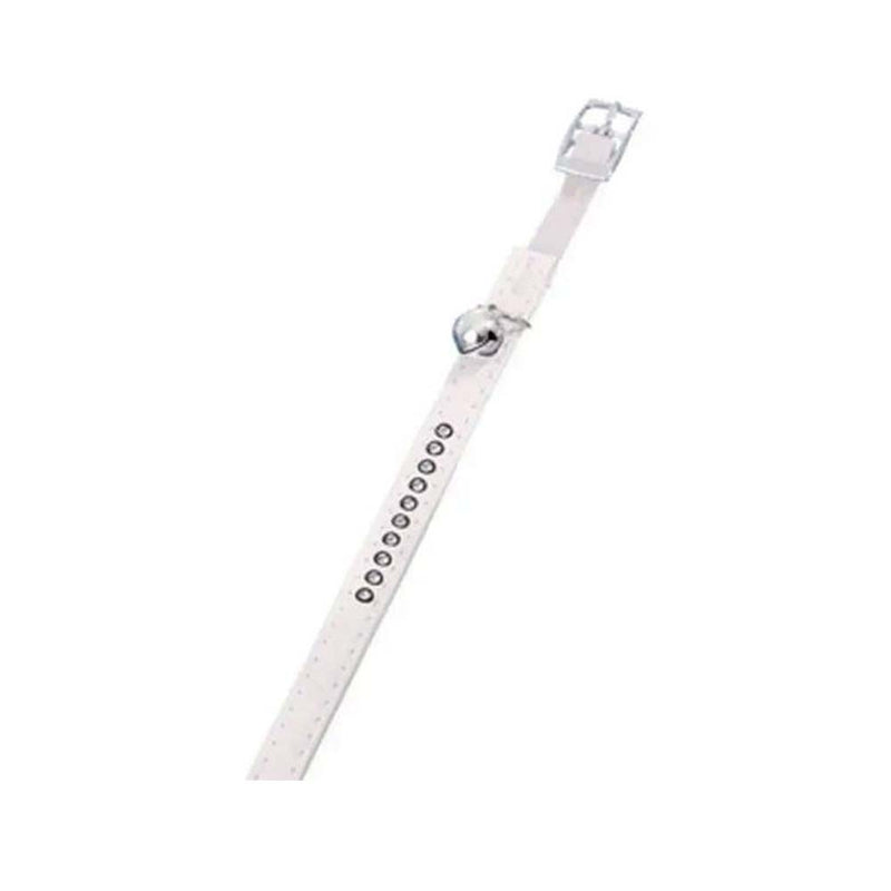 Chat Collier Blanc