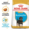 Royal Canin Rottweiler Puppy – Croquettes chiot 12 kg