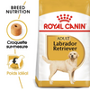 Royal Canin Labrador Retriever Adult – Croquettes chien adulte 12 kg