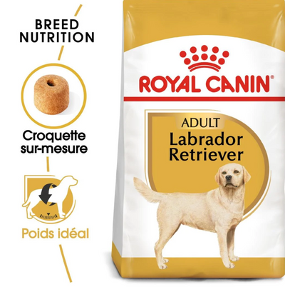 Royal Canin Labrador Retriever Adult – Croquettes chien adulte 12 kg – La Passion Canine Maroc