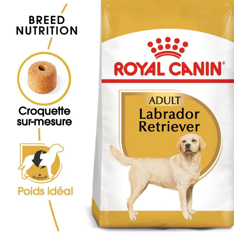 Royal Canin Labrador Retriever Adult – Croquettes chien adulte 12 kg