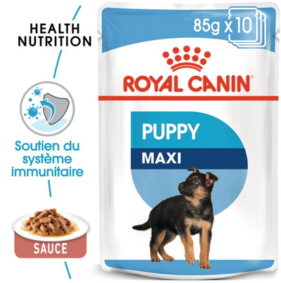Royal Canin Maxi Puppy – Pâtée chiot grande race en sauce 140 g – La Passion Canine Maroc