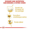 Royal Canin Golden Retriever Adult – Croquettes chien adulte 12 kg