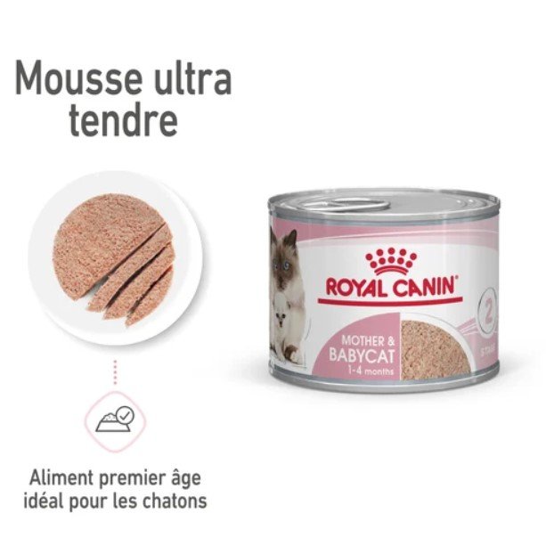 Royal Canin Mother & Babycat – Pâtée en mousse chatte et chaton 195 g