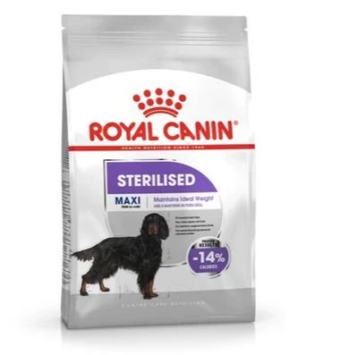 Royal Canin Maxi Sterilised – Croquettes chien stérilisé grande race 12 kg – La Passion Canine Maroc
