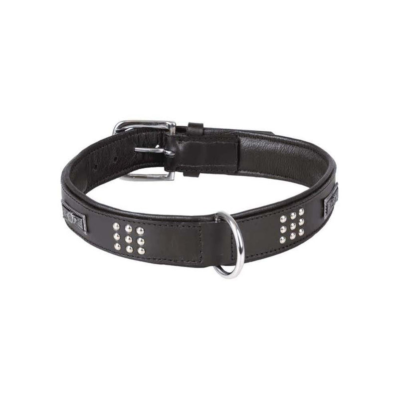 Collier chien Sedona Cuir+ferrures