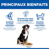 Hill's Science Plan Large Breed – Croquettes chien grande race poulet 14 kg