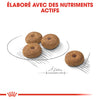 Royal Canin Mini Sterilised – Croquettes chien stérilisé petite race 1 kg