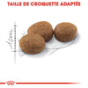 Royal Canin Sterilised 37 – Croquettes chat stérilisé 400 g