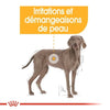 Royal Canin Maxi Dermacomfort – Croquettes chien peau sensible grande race 12 kg