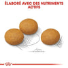Royal Canin Maxi Dermacomfort – Croquettes chien peau sensible grande race 12 kg