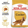 Royal Canin Cocker Adult – Croquettes chien adulte 3 kg