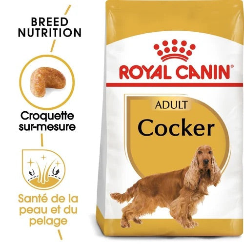 Royal Canin Cocker Adult – Croquettes chien adulte 3 kg