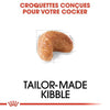 Royal Canin Cocker Adult – Croquettes chien adulte 3 kg