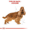 Royal Canin Cocker Adult – Croquettes chien adulte 3 kg