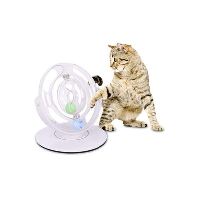 Jeu D'intelligence Pour Chat