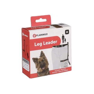 Laisse De Balade Sécurisée Pour Chien