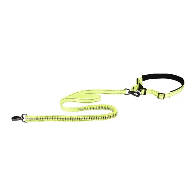 Laisse Jogging Pour Chien