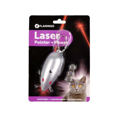 Pointeur Laser