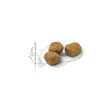 Royal Canin Indoor 7+ – Croquettes chat senior d'intérieur 3,5 kg