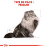 Royal Canin Persian – Bouchées en mousse chat adulte 85 g