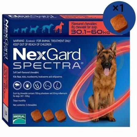 NexGard Spectra – Comprimé antiparasitaire chien 30-60 kg (x1)