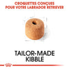 Royal Canin Labrador Retriever Adult – Croquettes chien adulte 12 kg