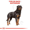 Royal Canin Rottweiler Adult – Croquettes chien adulte 12 kg