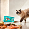 Gosbi Exclusive Sterilized – Croquettes chat stérilisé poulet saumon 400 g