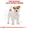 Royal Canin Jack Russell Adult – Croquettes chien adulte 3 kg