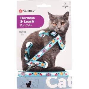 Harnais et laisse pour chat