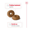 Royal Canin Maxi Ageing 8+ – Croquettes chien senior grande race 15 kg