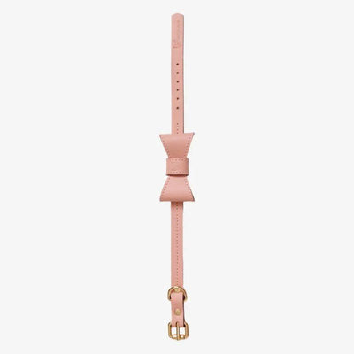 Collier pour chien – La Passion Canine Maroc