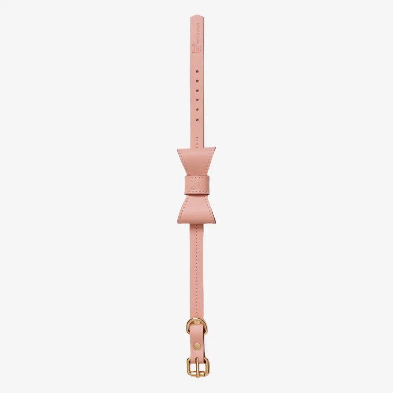 Collier pour chien