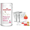 Royal Canin Babycat Milk – Lait maternisé pour chaton 300 g