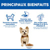 Hill's Science Plan Small & Mini Adult – Croquettes chien au poulet 3 kg