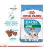 Royal Canin Mini Starter Mother & Babydog – Croquettes chiot et mère 1 kg