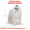 Royal Canin Bichon Maltais Adult – Croquettes chien adulte 1,5 kg