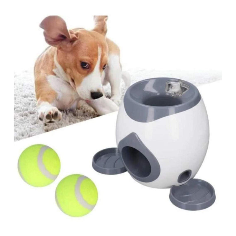 Lanceur automatique de balles de tennis pour chien