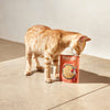 Natsbi – Aliment humide pour chat adulte au saumon 80 g