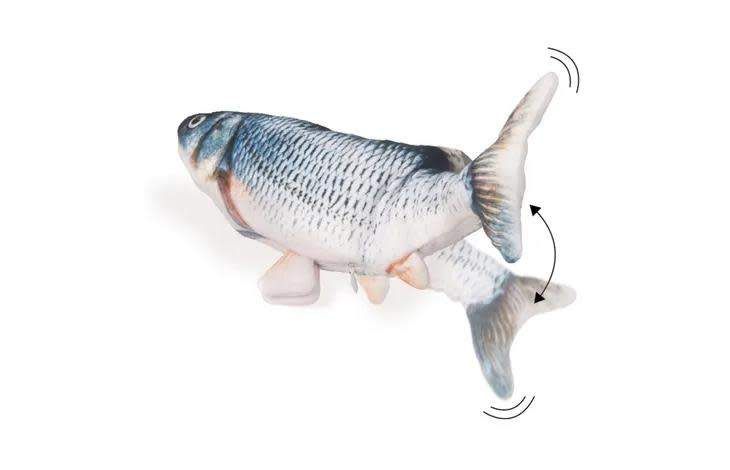 Poisson electronique