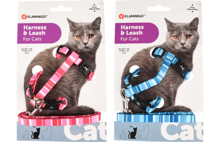 Harnais avec laisse pour chat adulte – coloris assortis