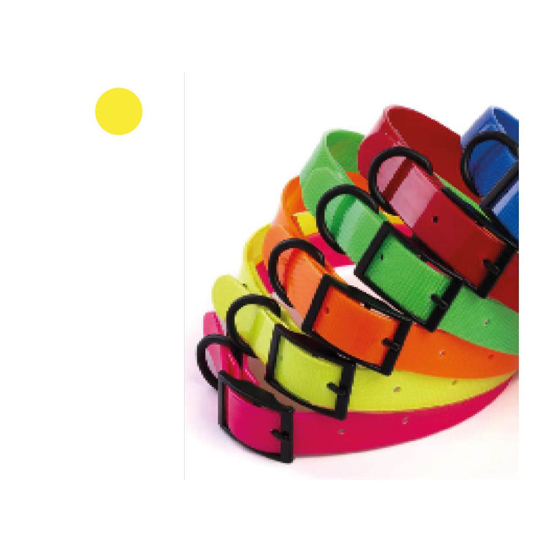 Collier pour chien couleurs électriques, taille L
