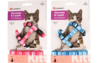 Flamingo Alfry – Harnais avec laisse pour chaton coloris assortis – La Passion Canine Maroc
