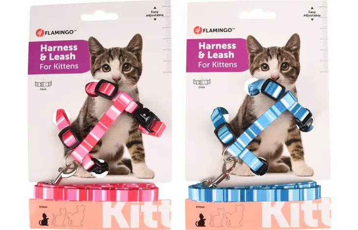 Flamingo Alfry – Harnais avec laisse pour chaton coloris assortis