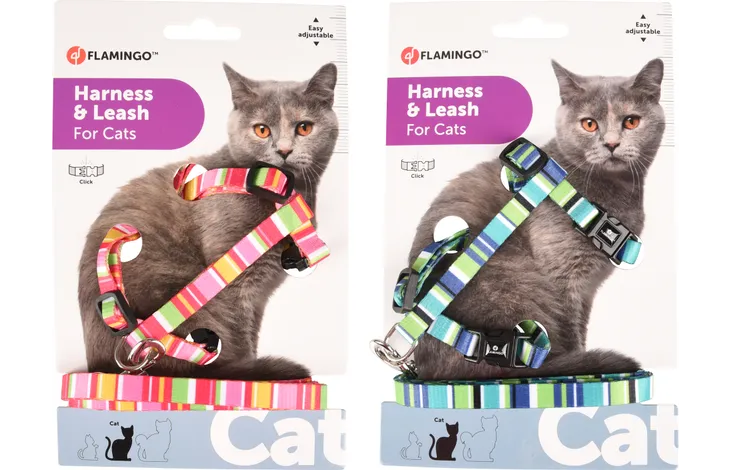 Harnais Avec Laisse Amira Plusieurs Couleurs