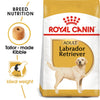Royal Canin Labrador Retriever Adult – Croquettes chien adulte 12 kg
