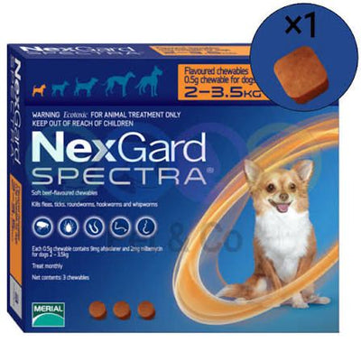 NexGard Spectra – Comprimé antiparasitaire chien 2-3,5 kg (x1) – La Passion Canine Maroc